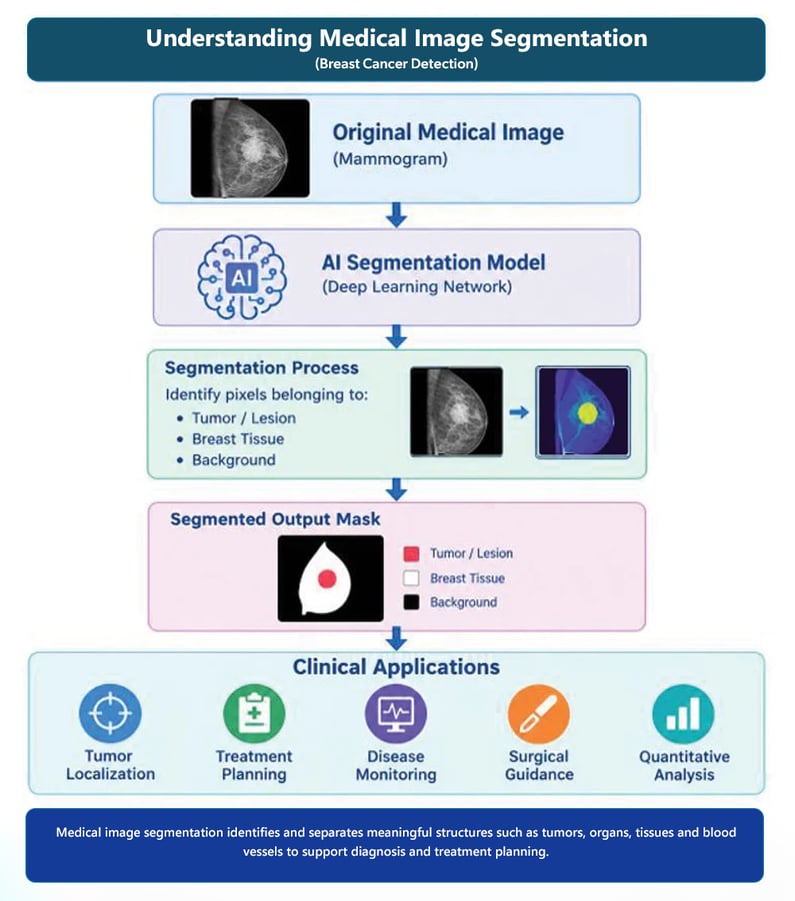 Figure 1 - Understanding Medical Image Segmentation-1