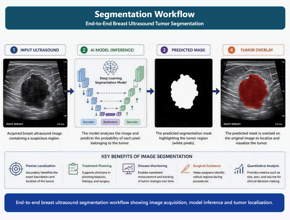 Segmentation Workflow