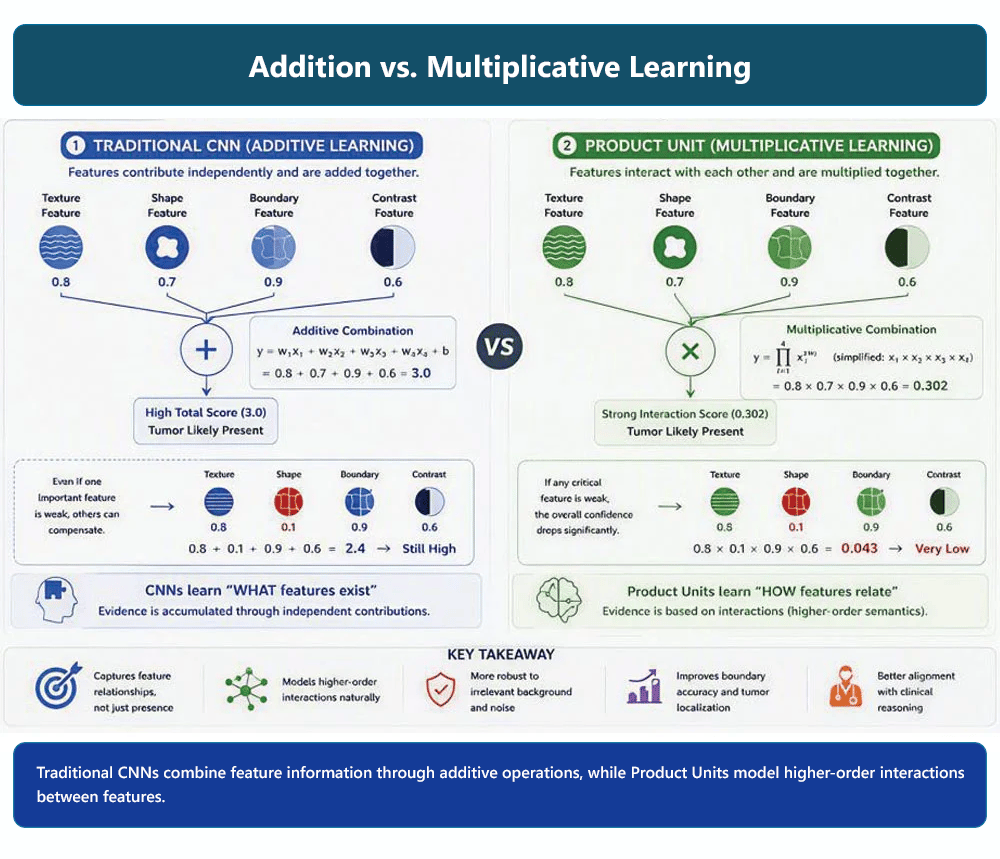 Addition vs. Multiplicative Learning