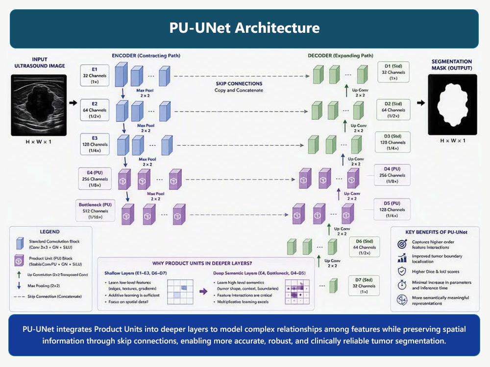 PU-UNet Architecture