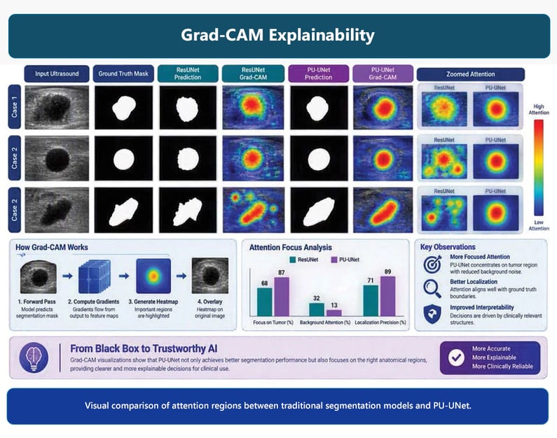 Figure 9 - Grad-CAM Explainability