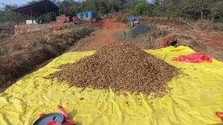 WhatsApp Image 2026-03-24 at 13.17.30