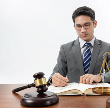 Legal and Professional Services