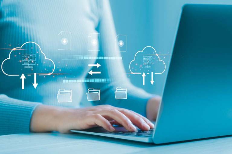 migration_2x_384x256px