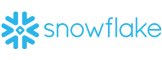 snowflake_162x60_1x